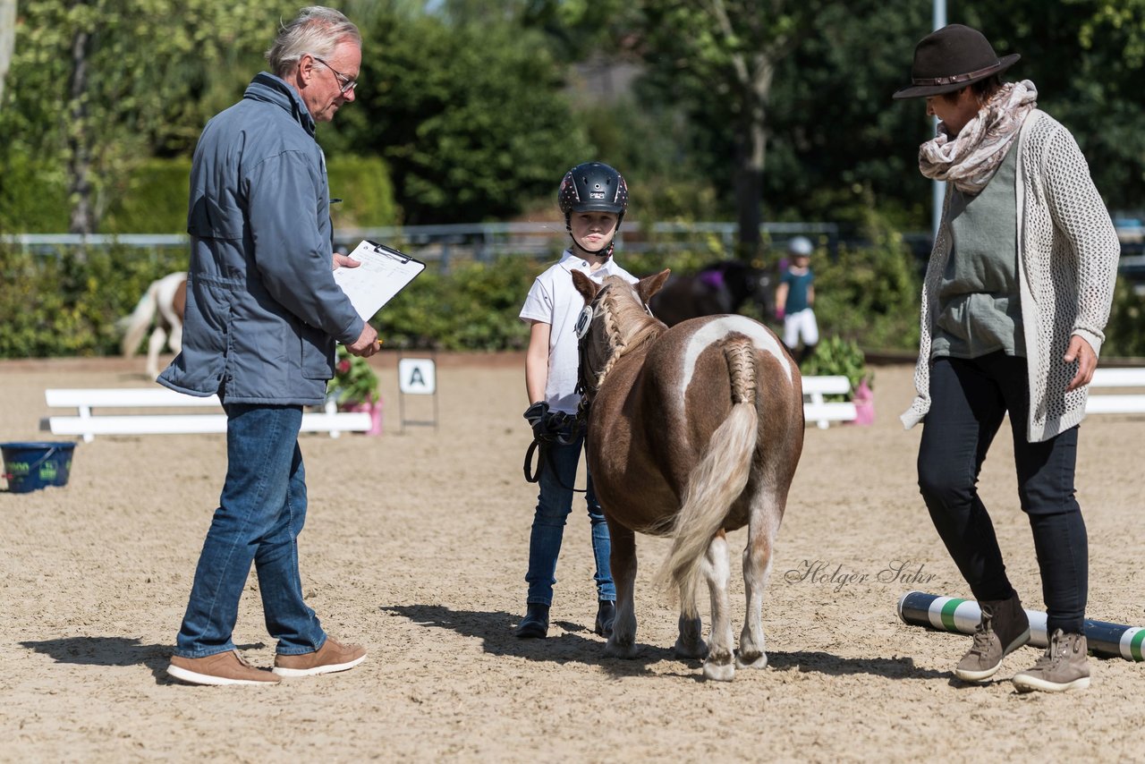 Bild 167 - Pony Akademie Turnier